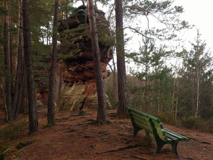 IMG 20190116 133826006